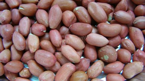 арахисовая паста домашняя