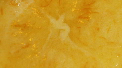 апельсиновый курд