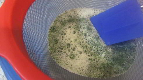 мятное мороженое с кусочками шоколада