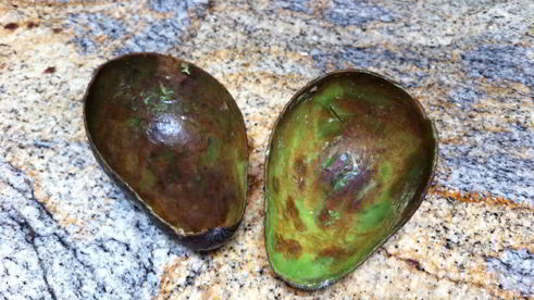 шоколадное мороженое c авокадо