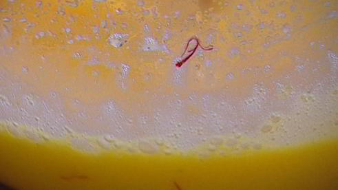 куличи с цукатами и изюмом