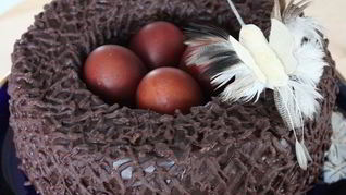 Пасхальное гнездышко