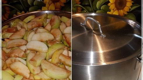 пастила из антоновки