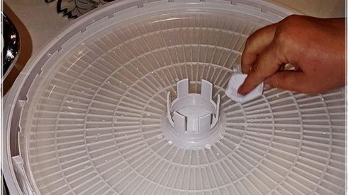 пастила из антоновки