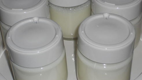 творог домашний в йогуртнице