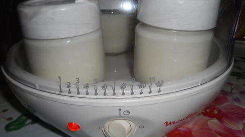 творог домашний в йогуртнице