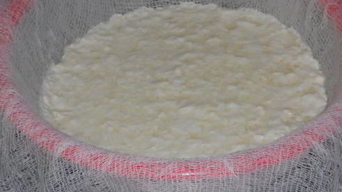 творог домашний в йогуртнице