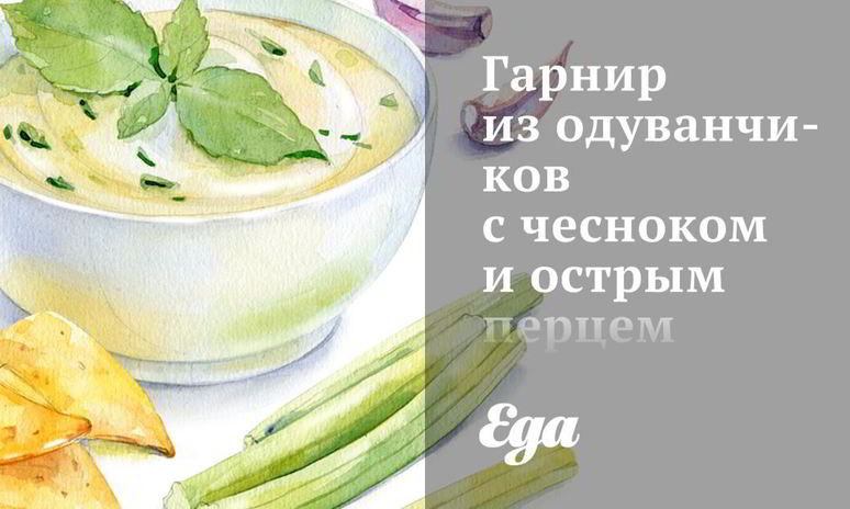 Рецепт гарнира из одуванчиков с чесноком и острым перцем