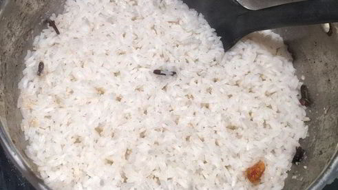 рис с гулу жоу