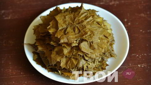 армянская долма