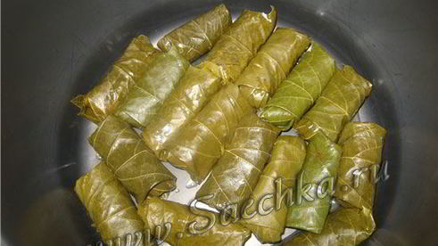долма из виноградных листьев в мультиварке