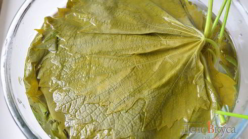 долма из виноградных листьев