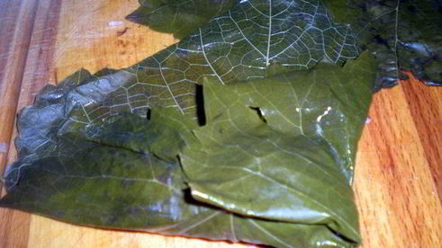 долма с бараниной под сметанно-чесночным соусом