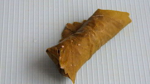 долма с рисом, изюмом и кедровыми орешками