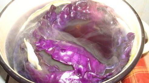 голубцы из красной капусты