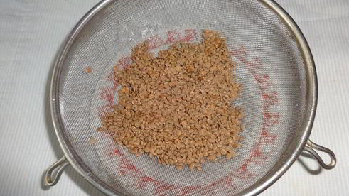 голубцы из молодой капусты с фаршем и чечевицей