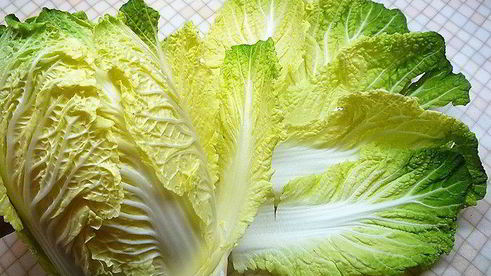 постные голубцы с пшеном и грибами