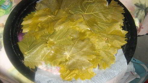 турецкая долма с хайдари