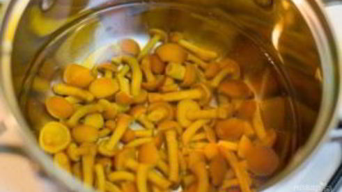 грибы лисички