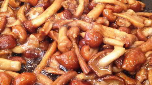 опята, запеченные в сырном соусе