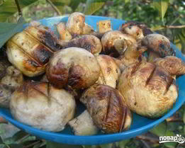 Шампиньоны гриль