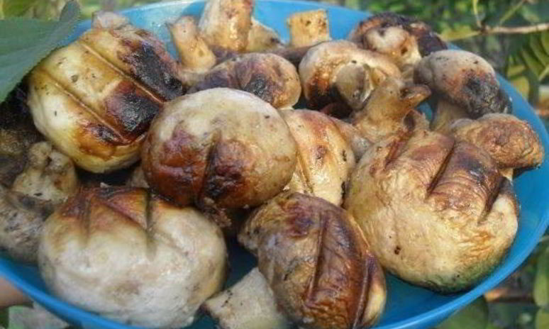 Рецепт шампиньонов гриль