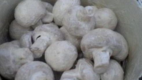 шампиньоны гриль