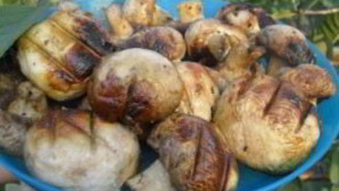 шампиньоны гриль