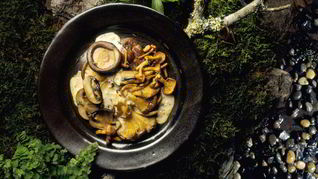 Жареные рыжики