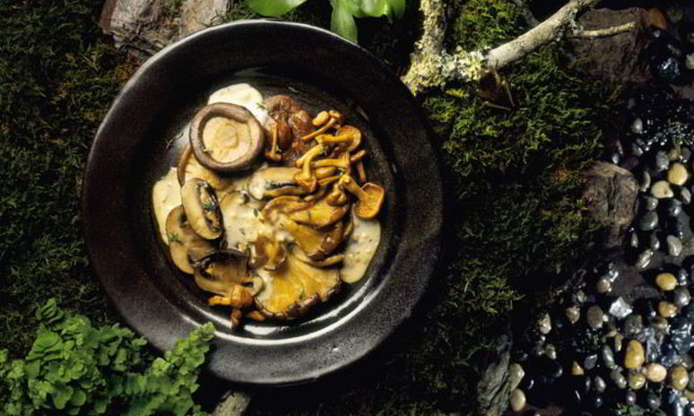 Рецепт жареных рыжиков