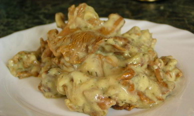 Рецепт гуляша из лисичек