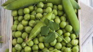 Гороховые котлеты