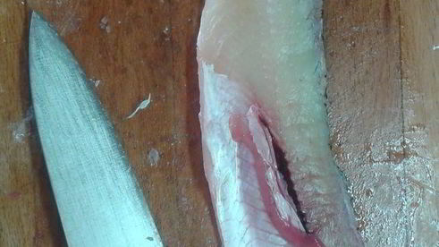 котлеты из мяса щуки