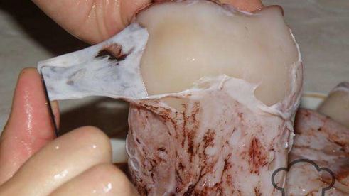 рыбные котлетки с картофельным пюре