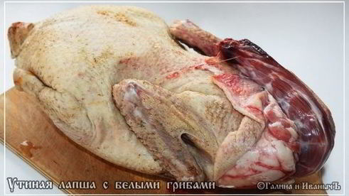 лапша домашняя с домашней уткой и белыми грибами