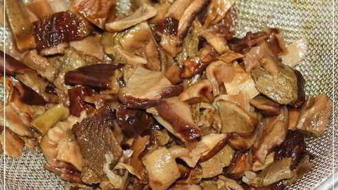 лапша домашняя с домашней уткой и белыми грибами