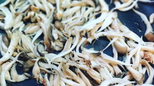 лазанья с вешенками и адыгейским сыром под соусом бешамель