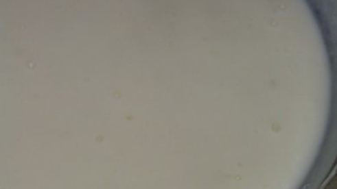 моя мясная лазанья