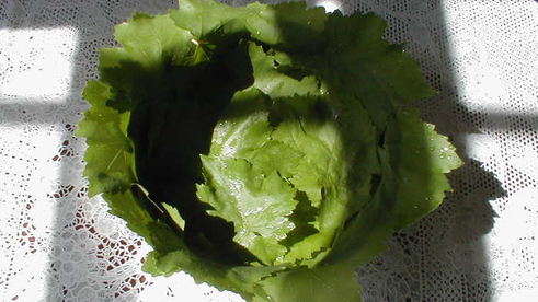 виноградная лазанья