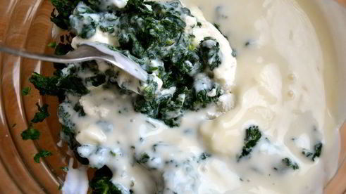 зеленая лазанья