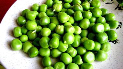 каннелони из порея под сыром