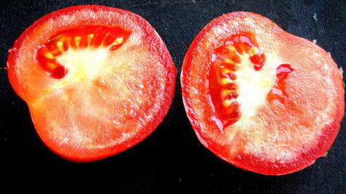 каннелони из порея под сыром