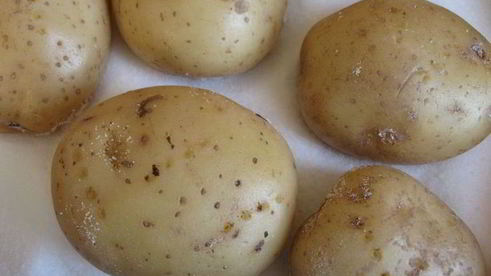 картофель по-французски