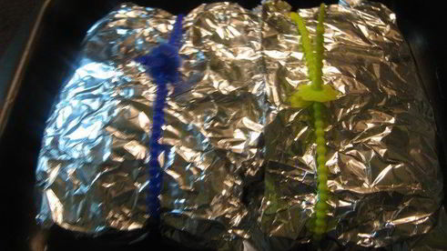 нежное запеченное мясо