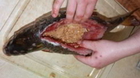 сазан, фаршированный капустой и икрой