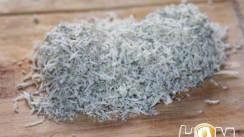 свинина под соусом из голубого сыра и грибов