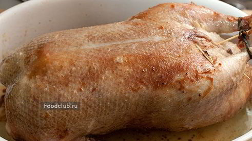 утка в духовке