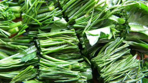 цветная капуста с яйцом и сыром