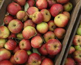 Печень с яблоками