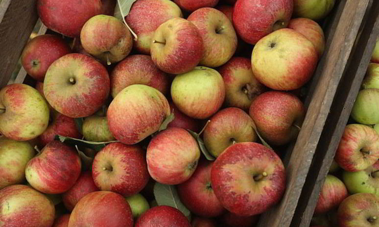 Рецепт печени с яблоками